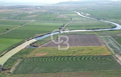 MENEMEN MALTEPE'DE CB İYA'DAN SATILIK TARLA