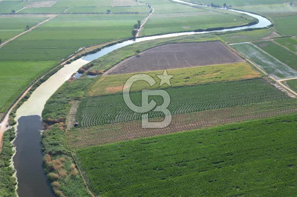 MENEMEN MALTEPE'DE CB İYA'DAN SATILIK TARLA