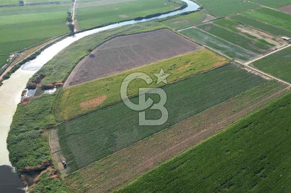 MENEMEN MALTEPE'DE CB İYA'DAN SATILIK TARLA