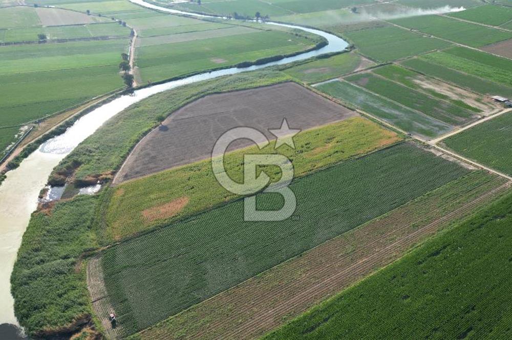 MENEMEN MALTEPE'DE CB İYA'DAN SATILIK TARLA