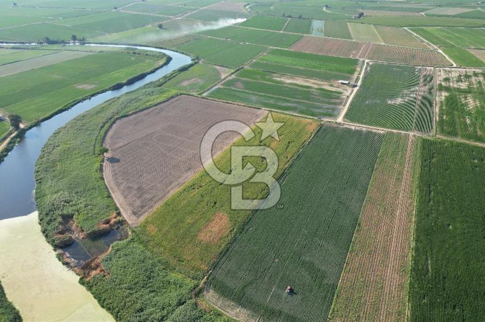 MENEMEN MALTEPE'DE CB İYA'DAN SATILIK TARLA