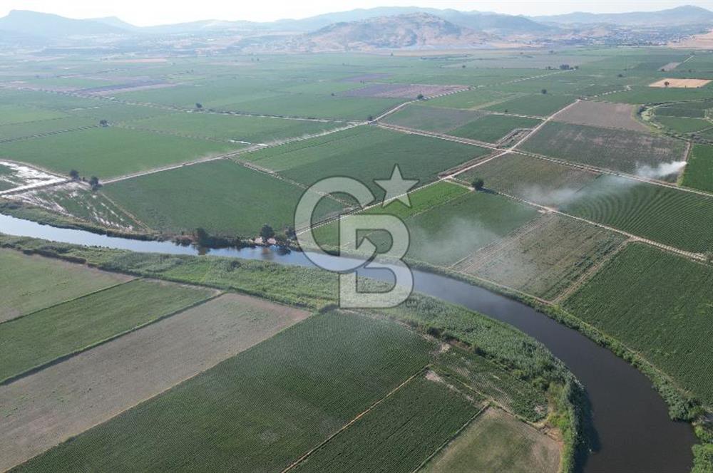 MENEMEN MALTEPE'DE CB İYA'DAN SATILIK TARLA