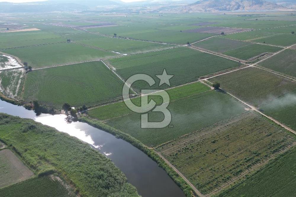 MENEMEN MALTEPE'DE CB İYA'DAN SATILIK TARLA