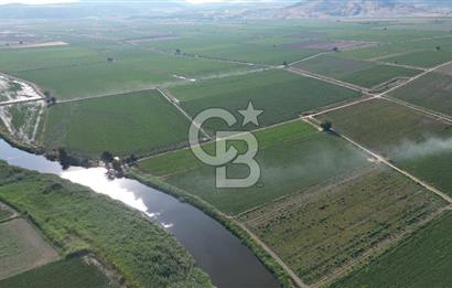MENEMEN MALTEPE'DE CB İYA'DAN SATILIK TARLA