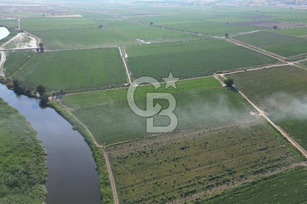 MENEMEN MALTEPE'DE CB İYA'DAN SATILIK TARLA