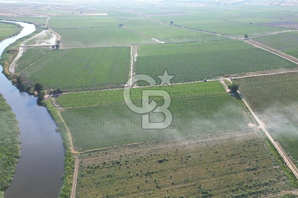 MENEMEN MALTEPE'DE CB İYA'DAN SATILIK TARLA