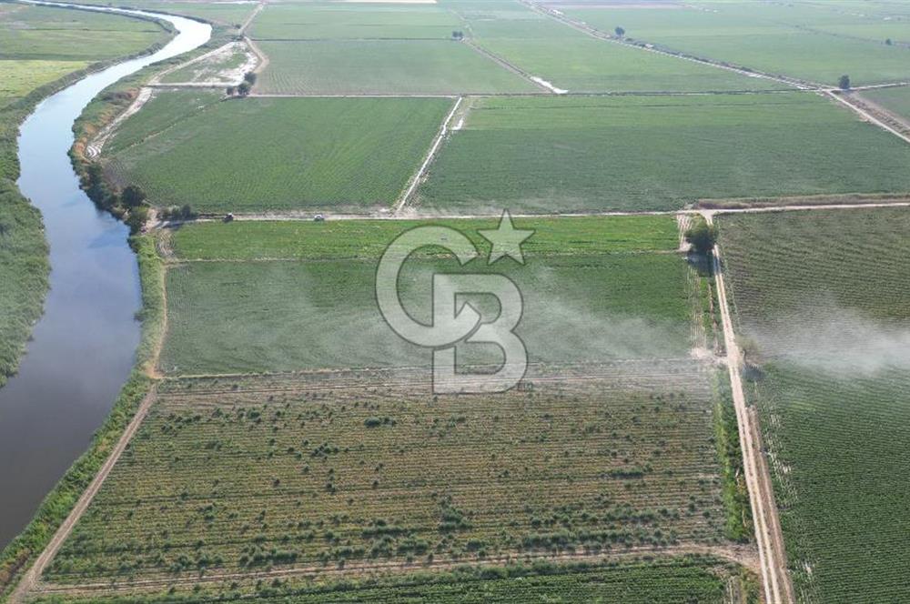 MENEMEN MALTEPE'DE CB İYA'DAN SATILIK TARLA