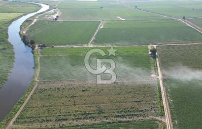 MENEMEN MALTEPE'DE CB İYA'DAN SATILIK TARLA