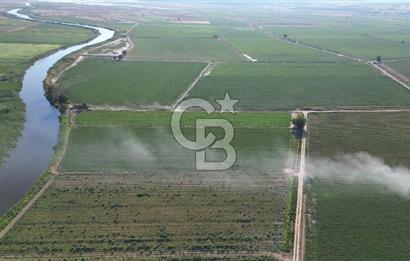 MENEMEN MALTEPE'DE CB İYA'DAN SATILIK TARLA