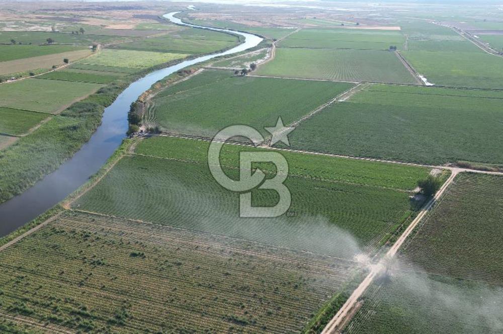 MENEMEN MALTEPE'DE CB İYA'DAN SATILIK TARLA