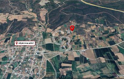 ÇANAKKALE LAPSEKİ DİŞBUDAK KÖYÜ SATILIK ARAZİ
