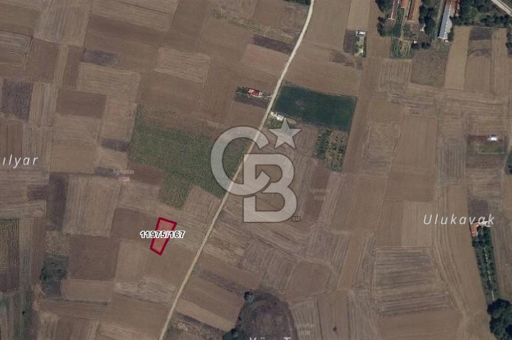 CB CİTY'DEN ULUDERE MAHALLESİNDE YATIRIMLIK SATILIK TARLA
