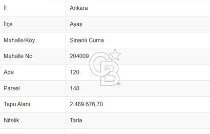 AYAŞ SİNANLI CUMA'DA SATILIK YATIRIMLIK TARLA