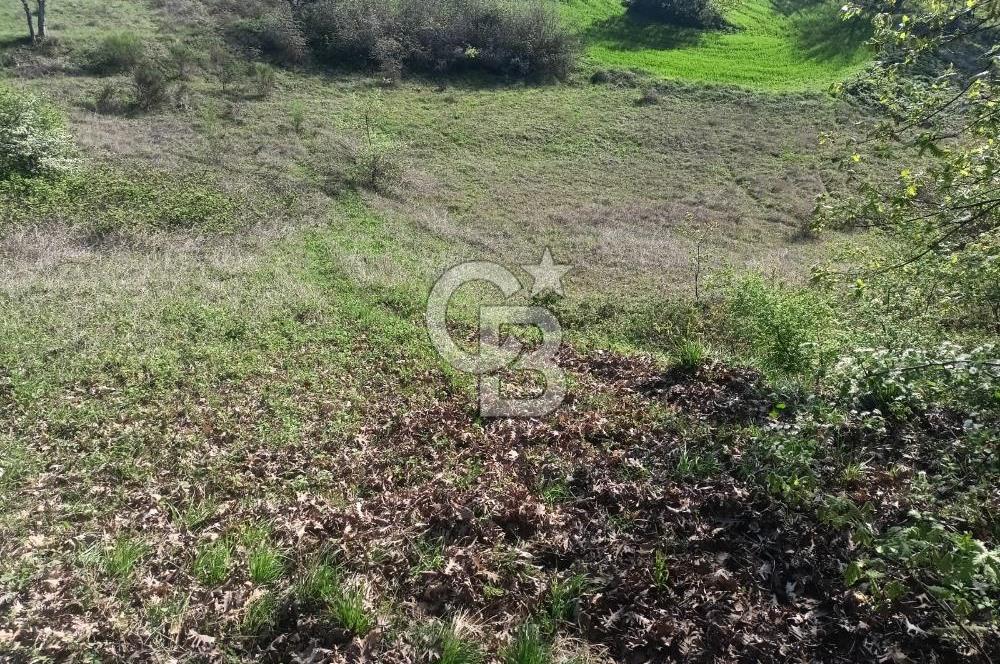 Kocaeli Karamürsel Semetler'de yatırımlık tarla