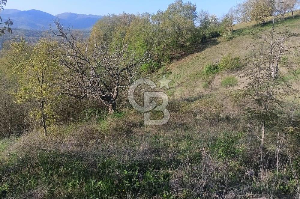 Kocaeli Karamürsel Semetler'de yatırımlık tarla