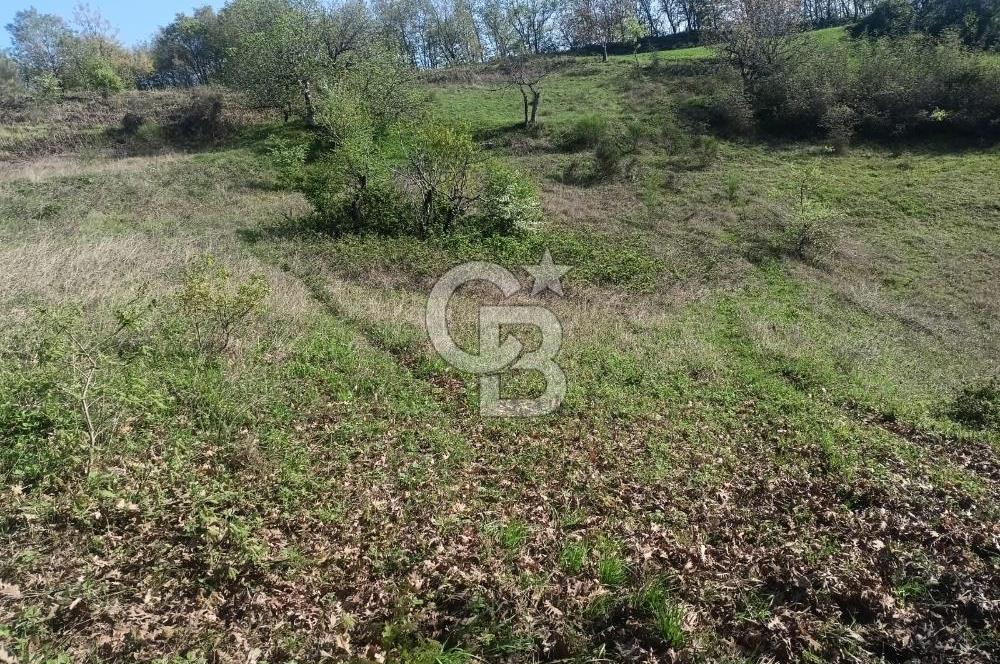 Kocaeli Karamürsel Semetler'de yatırımlık tarla