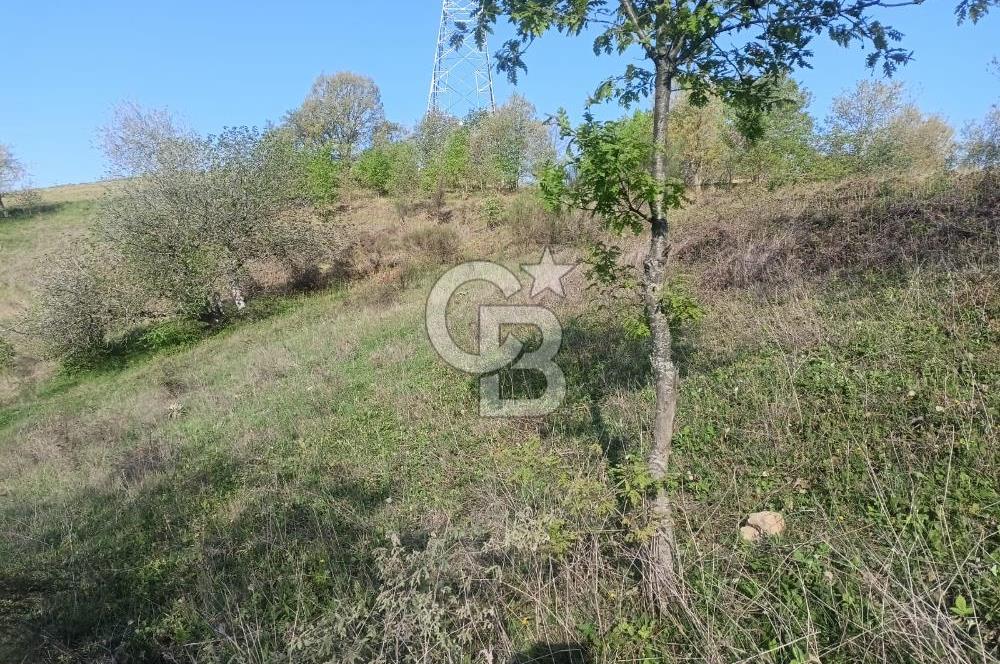 Kocaeli Karamürsel Semetler'de yatırımlık tarla