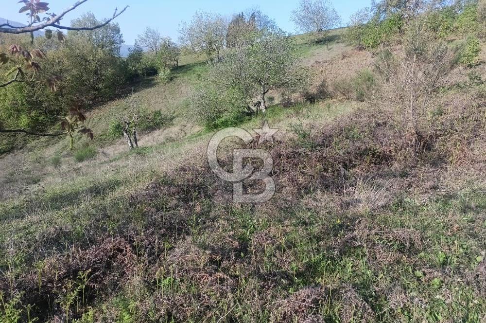 Kocaeli Karamürsel Semetler'de yatırımlık tarla