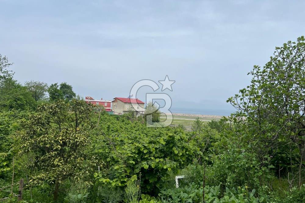 HAVALANI KARŞISINDA SATILIK BAHÇE