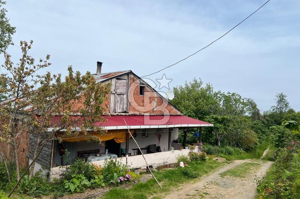 HAVALANI KARŞISINDA SATILIK BAHÇE