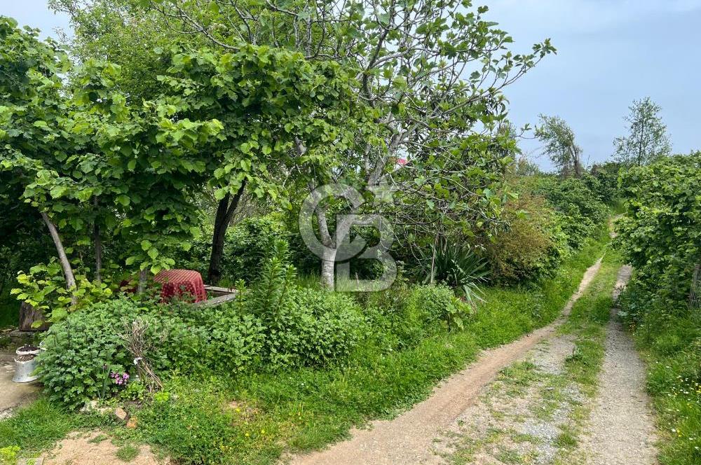 HAVALANI KARŞISINDA SATILIK BAHÇE