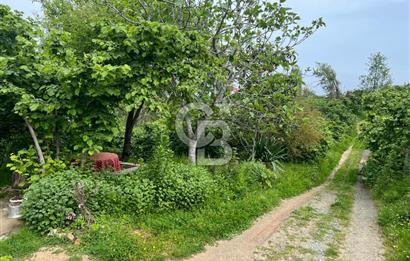 HAVALANI KARŞISINDA SATILIK BAHÇE