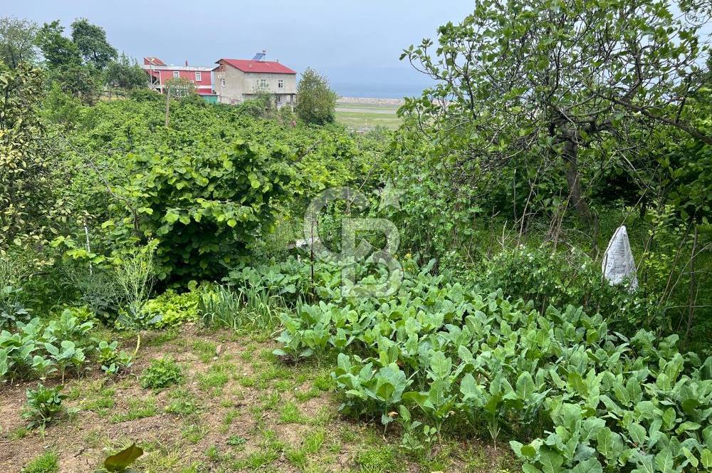 HAVALANI KARŞISINDA SATILIK BAHÇE