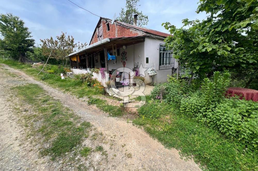 HAVALANI KARŞISINDA SATILIK BAHÇE