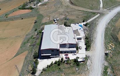 HASANOĞLAN SANAYİ MH/5400M2 KAPALI-6511 M2 AÇIK/SATILIK FABRİKA