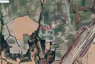CB CLASS SUSURLUK BALIKLIDERE 8.700 m² OTOYOLA YAKIN TARLA