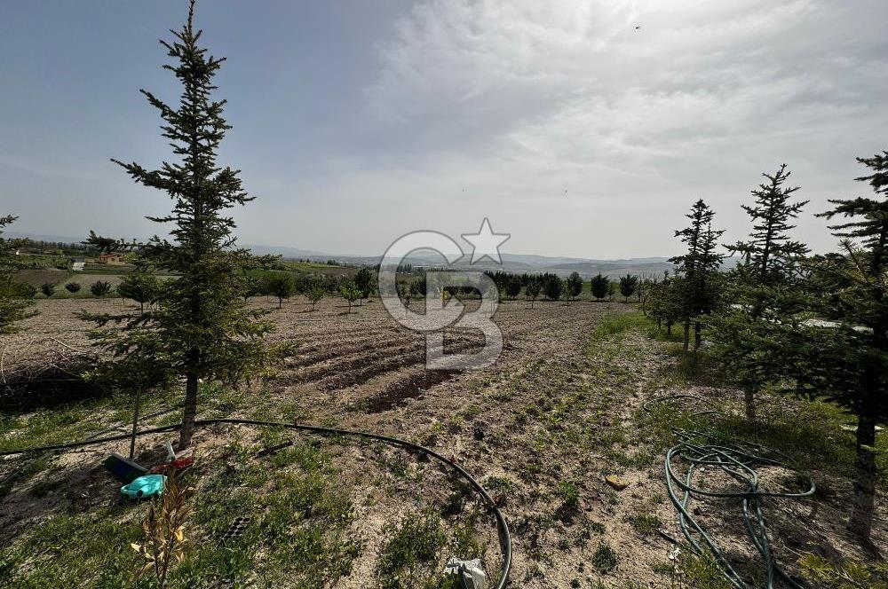 KAZAN-ÇİMŞİT MH/8666 M2/ MÜSTAKİL BAHÇE TAPULU/ŞAHANE ÇİFTLİK