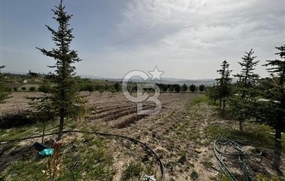 KAZAN-ÇİMŞİT MH/8666 M2/ MÜSTAKİL BAHÇE TAPULU/ŞAHANE ÇİFTLİK