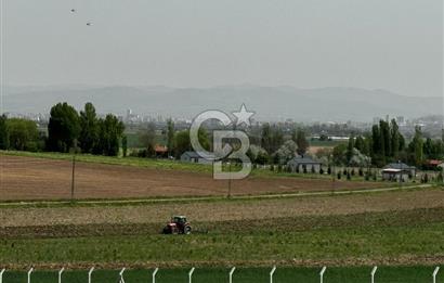 KAZAN-ÇİMŞİT MH/8666 M2/ MÜSTAKİL BAHÇE TAPULU/ŞAHANE ÇİFTLİK