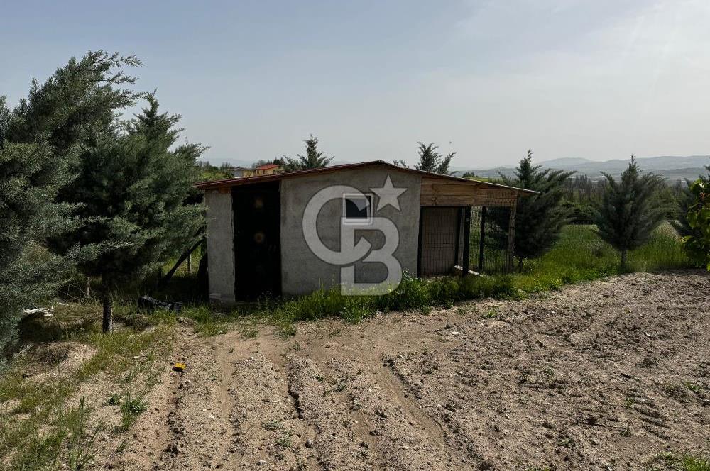 KAZAN-ÇİMŞİT MH/8666 M2/ MÜSTAKİL BAHÇE TAPULU/ŞAHANE ÇİFTLİK