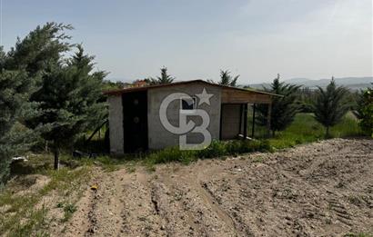 KAZAN-ÇİMŞİT MH/8666 M2/ MÜSTAKİL BAHÇE TAPULU/ŞAHANE ÇİFTLİK