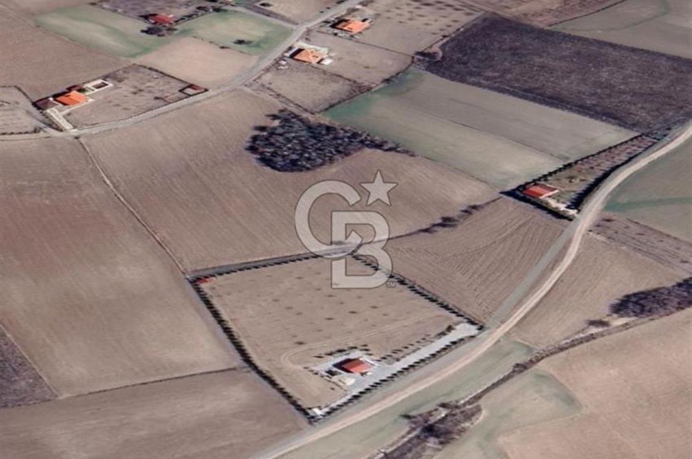 KAZAN-ÇİMŞİT MH/8666 M2/ MÜSTAKİL BAHÇE TAPULU/ŞAHANE ÇİFTLİK