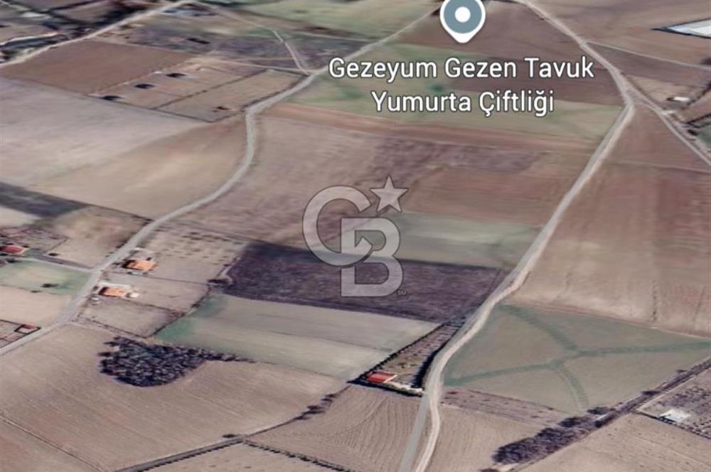 KAZAN-ÇİMŞİT MH/8666 M2/ MÜSTAKİL BAHÇE TAPULU/ŞAHANE ÇİFTLİK