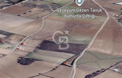 KAZAN-ÇİMŞİT MH/8666 M2/ MÜSTAKİL BAHÇE TAPULU/ŞAHANE ÇİFTLİK