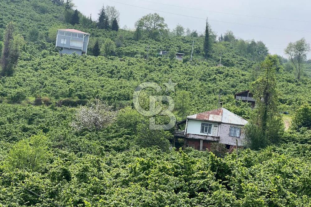 HAVALANI KARŞISINDA SATILIK BAHÇE