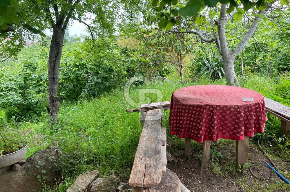HAVALANI KARŞISINDA SATILIK BAHÇE