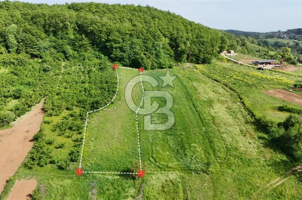 CB TAN-KOCAELİ/İZMİT/BULDUK KÖY İÇİ İMARLI 2007M2 SATILIK ARSA