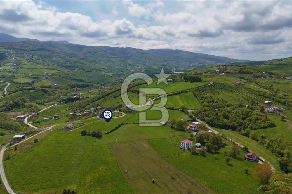 TAFLAN DA SATILIK ŞEHRİN EN GÜZEL NİTEKLİ ARSASI