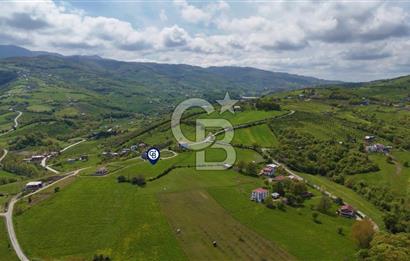 TAFLAN DA SATILIK ŞEHRİN EN GÜZEL NİTEKLİ ARSASI
