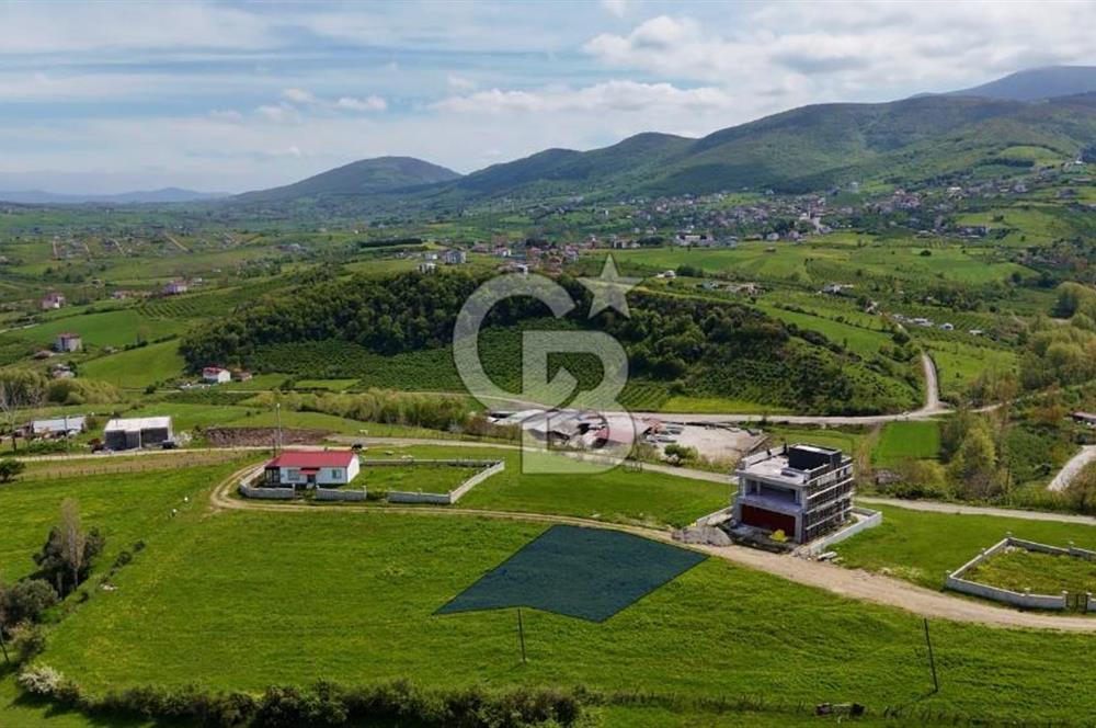 TAFLAN DA SATILIK ŞEHRİN EN GÜZEL NİTEKLİ ARSASI