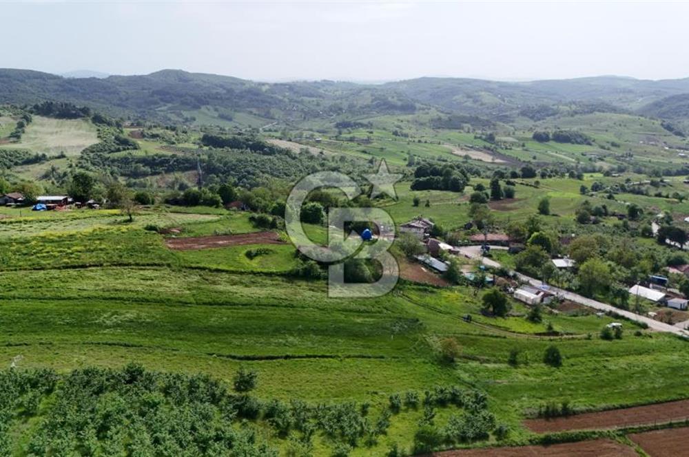 CB TAN-KOCAELİ/İZMİT/BULDUK KÖY İÇİ İMARLI 2007M2 SATILIK ARSA