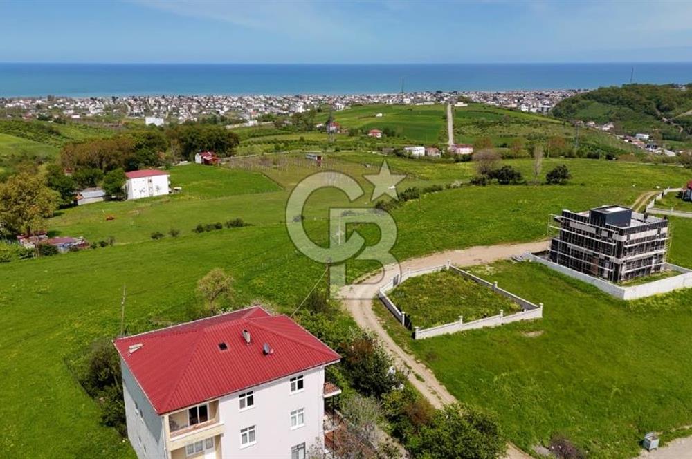 TAFLAN DA SATILIK ŞEHRİN EN GÜZEL NİTEKLİ ARSASI