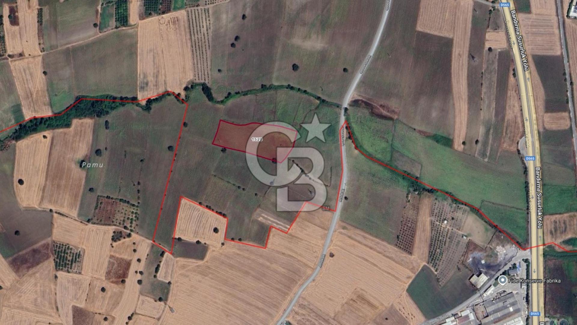 CB CLASS SUSURLUK ÜMİTELİ 13 DÖNÜM OTOYOLA/YERLEŞİME YAKIN TARLA