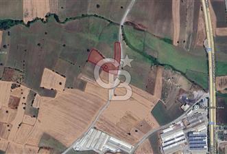 CB CLASS SUSURLUK ÜMİTELİ 11.606 m² YOLA CEPHE SATILIK TARLA