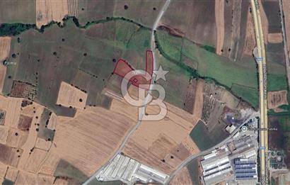 CB CLASS SUSURLUK ÜMİTELİ 11.606 m² YOLA CEPHE SATILIK TARLA