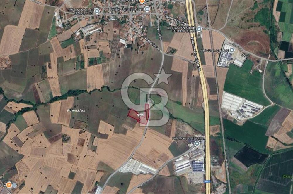 CB CLASS SUSURLUK ÜMİTELİ 11.606 m² YOLA CEPHE SATILIK TARLA